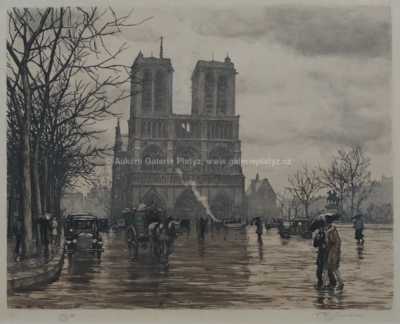  / Katedrála Notre-Dame / František Tavík Šimon