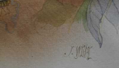  / Hlava / Josef Vyleťal