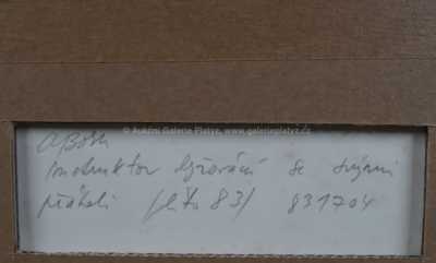  / Instruktor lyžování se svými přáteli / Adolf Born