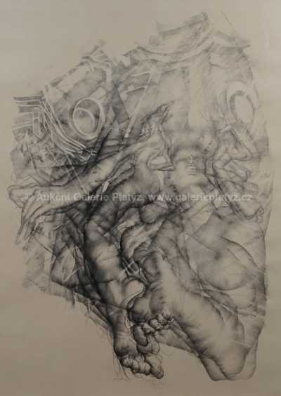  / Levitace / Zdeněk Netopil