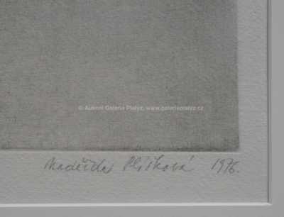  / Mon mari / Naděžda Plíšková