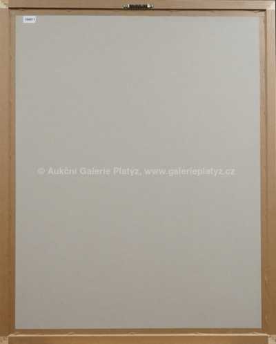  / Mon mari / Naděžda Plíšková