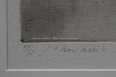  / Mon mari / Naděžda Plíšková