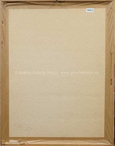  / Televizní kurz jógy / Zdeněk Netopil