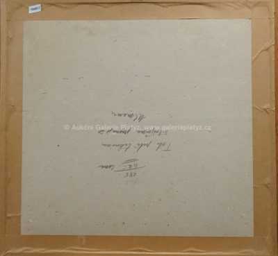  / Mapa /   Autor neurčen