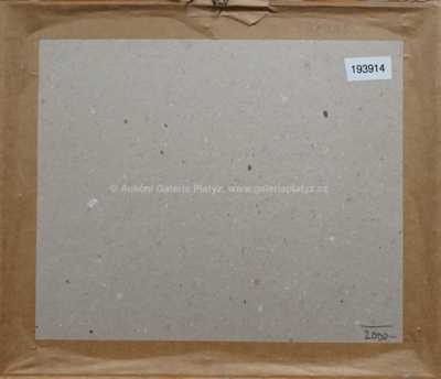  / Na poli / Václav Rabas