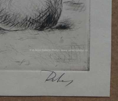  / Na poli / Václav Rabas