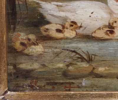  / Kachničky /   Autor neurčen