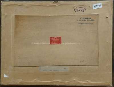  / Z Abazzie / Karel Liebscher