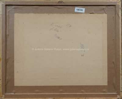  / Rozkvetlý keř před stavením / Jan Honsa