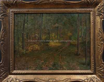 Josef Holub - Cesta v lese