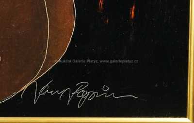  / Loutnistka / Jan Rapin