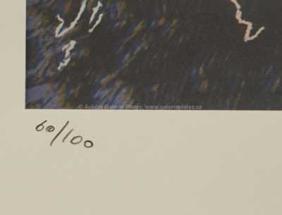  / Beran / Andy Warhol