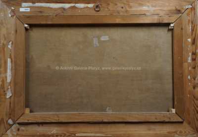  / Vřesoviště / Rudolf Franz Ullmann