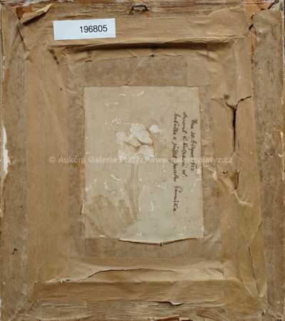  / Starý strom / Jaroslav Panuška