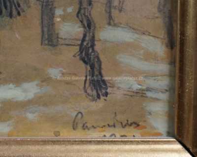  / Starý strom / Jaroslav Panuška