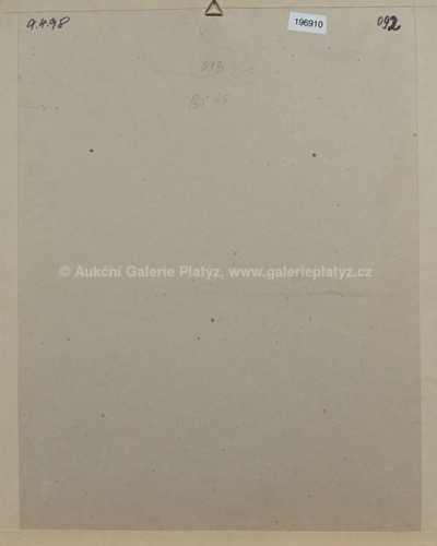  / Dalího děvče / Zdeněk Netopil