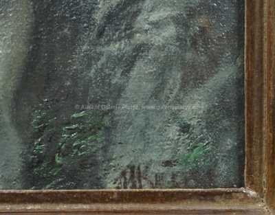  / Dívka u vodopádu / Miroslav Kučera