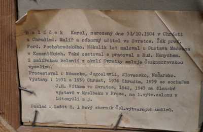 / Zimní tůň / Karel Balíček