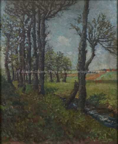  / Luční potok / František Skorkovský