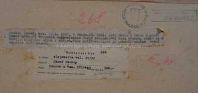  / Sázava u Kamenného přivozu / Josef Soukup