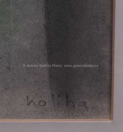  / Hlava ženy / Jaroslav Koliha