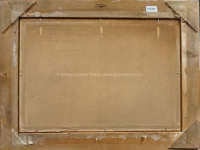  / Pohled z Českého kopce / František Cína - Jelínek