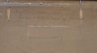  / Pohled z Českého kopce / František Cína - Jelínek