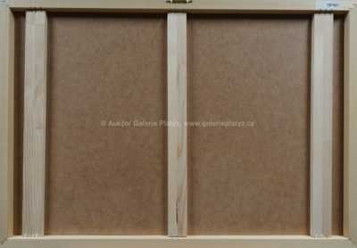  / Racci nad příbojem / Max Jensen