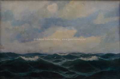  / Racci nad příbojem / Max Jensen