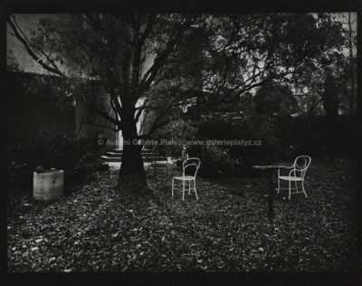  / Zahrada / Josef Sudek
