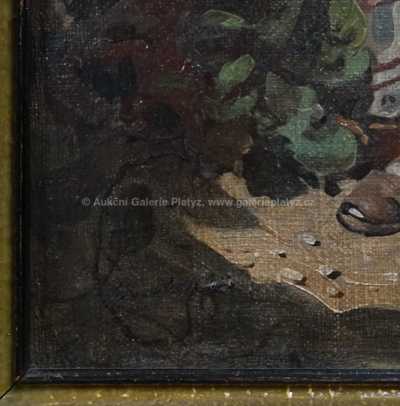  / Život v horách /  Nečitelná signatura