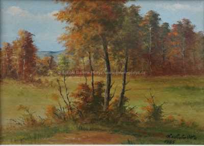  / Podzimní les / Otto Chochola