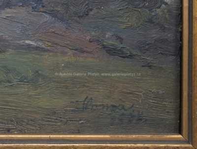  / Na pastvě / Jan Honsa