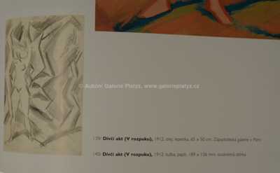  / Dívčí akt (v rozpuku) / Václav Špála