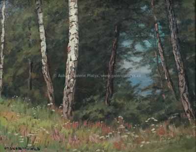  / Břízy / Otakar Hůrka