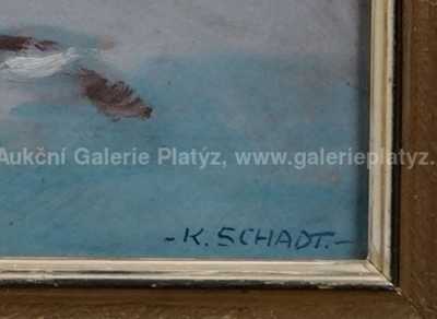  / Paseky v zimě / Karel Schadt