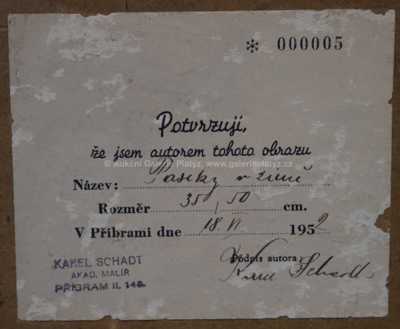  / Paseky v zimě / Karel Schadt