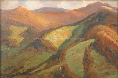  / Kopcovitá krajina / Roman Havelka