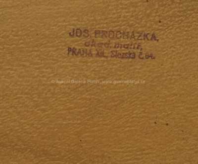  / Rozkvetlé louky / Josef Procházka