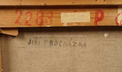  / Torso / Jiří Procházka