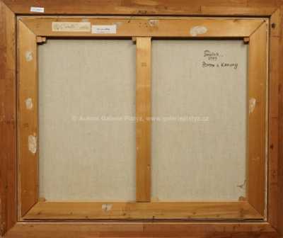  / Strom a kameny / Ota Janeček