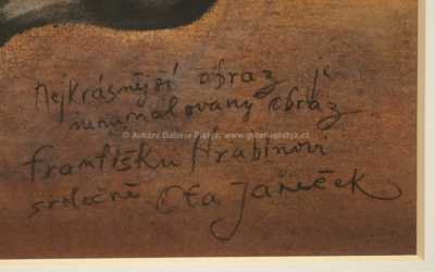  / Kocourek / Ota Janeček