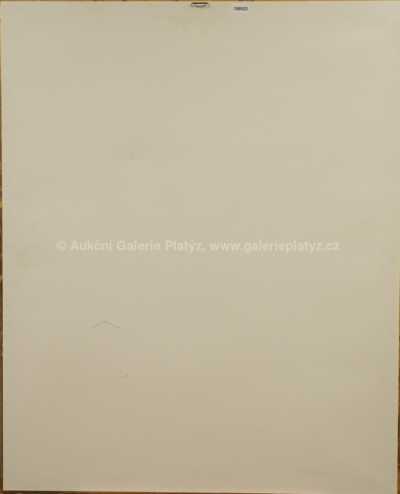  / Kocourek / Ota Janeček