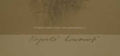  / Kyselé kousnutí / Oldřich Kulhánek