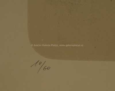  / Kyselé kousnutí / Oldřich Kulhánek