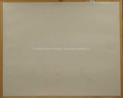  / Odpočívající / Ota Janeček