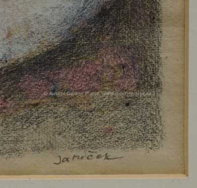  / Buňka I. / Ota Janeček