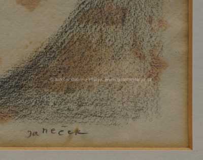  / Buňka II. / Ota Janeček