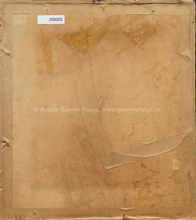  / Palais Šramota / Josef Vaic